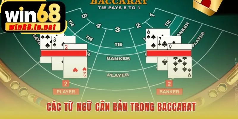 Các thuật ngữ baccarat là gì làm rõ ba cửa cược chính