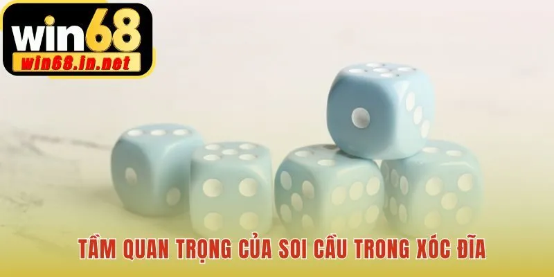 Phân tích lý do tại sao soi cầu đóng vai trò then chốt
