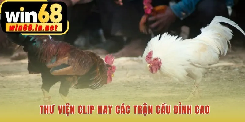 Giải đáp thắc mắc giúp người xem mới tự tin tham gia