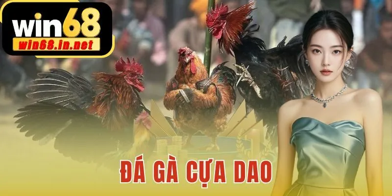 Đá Gà Cựa Dao