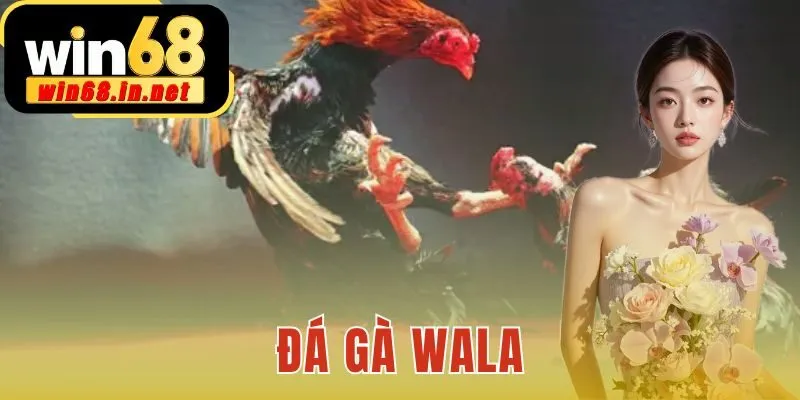 Đá Gà Wala