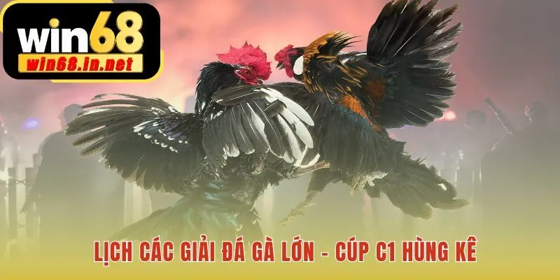 Lịch thi đấu Thomo quy tụ những giải đấu danh giá bậc nhất