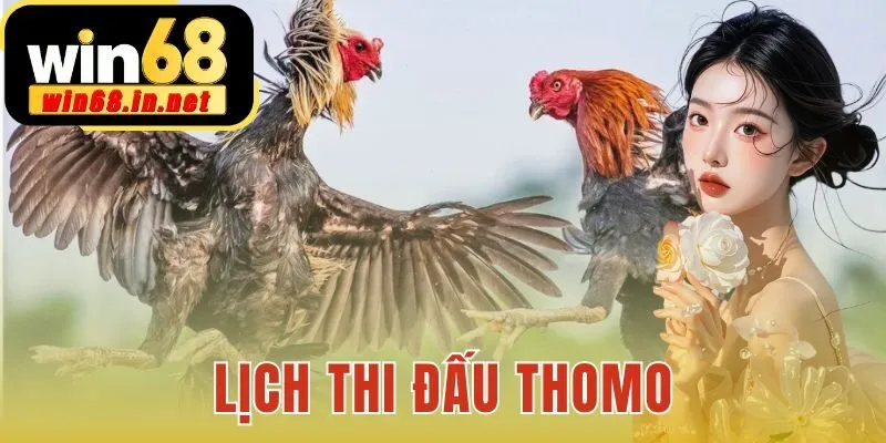 Lịch Thi Đấu Thomo