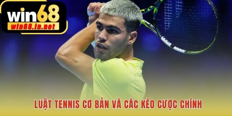 Cá độ tennis ATP giới thiệu các loại cược nền tảng