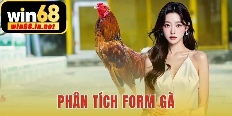 Phân Tích Form Gà