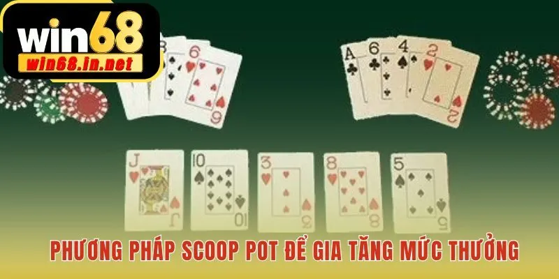 Chiến thuật scoop trong Poker Omaha Hi-Lo thâu tóm toàn bộ tiền cược